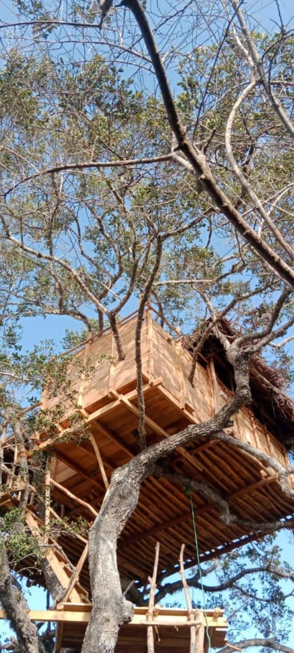 Mamba Yala Hotel Tissamaharama Exterior photo